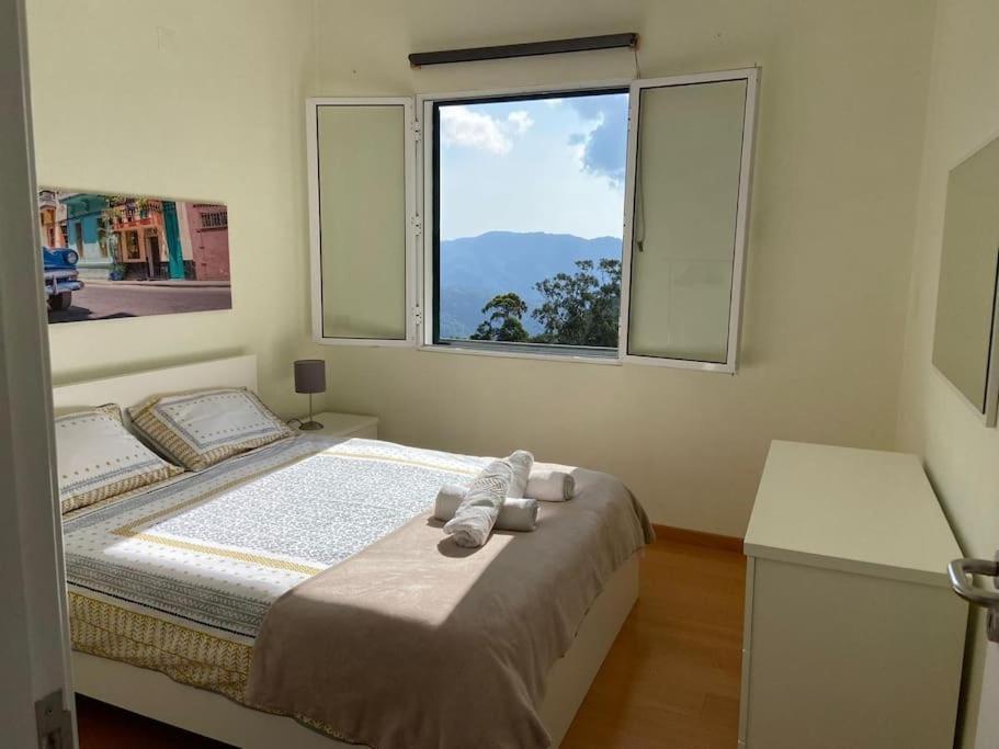 The Hideaway Retreat Vila Santo Antonio da Serra Exterior foto